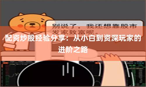 配资炒股经验分享：从小白到资深玩家的进阶之路